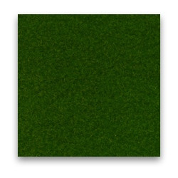 Outdoor Carpet Green
